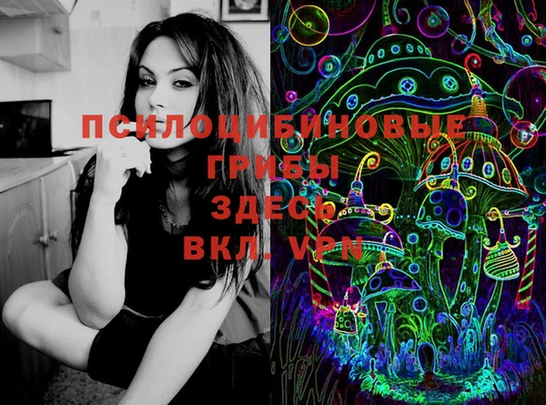 мяу мяу мука Алексин