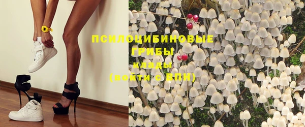 гашик Переславль-Залесский