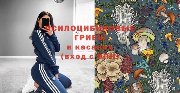 мяу мяу мука Алексин