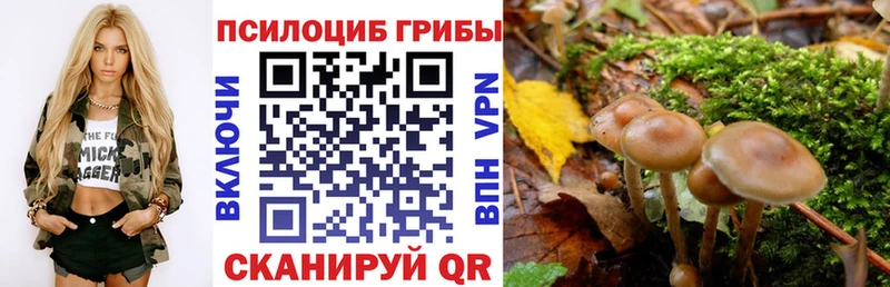 Галлюциногенные грибы мицелий  цены   Новомичуринск 